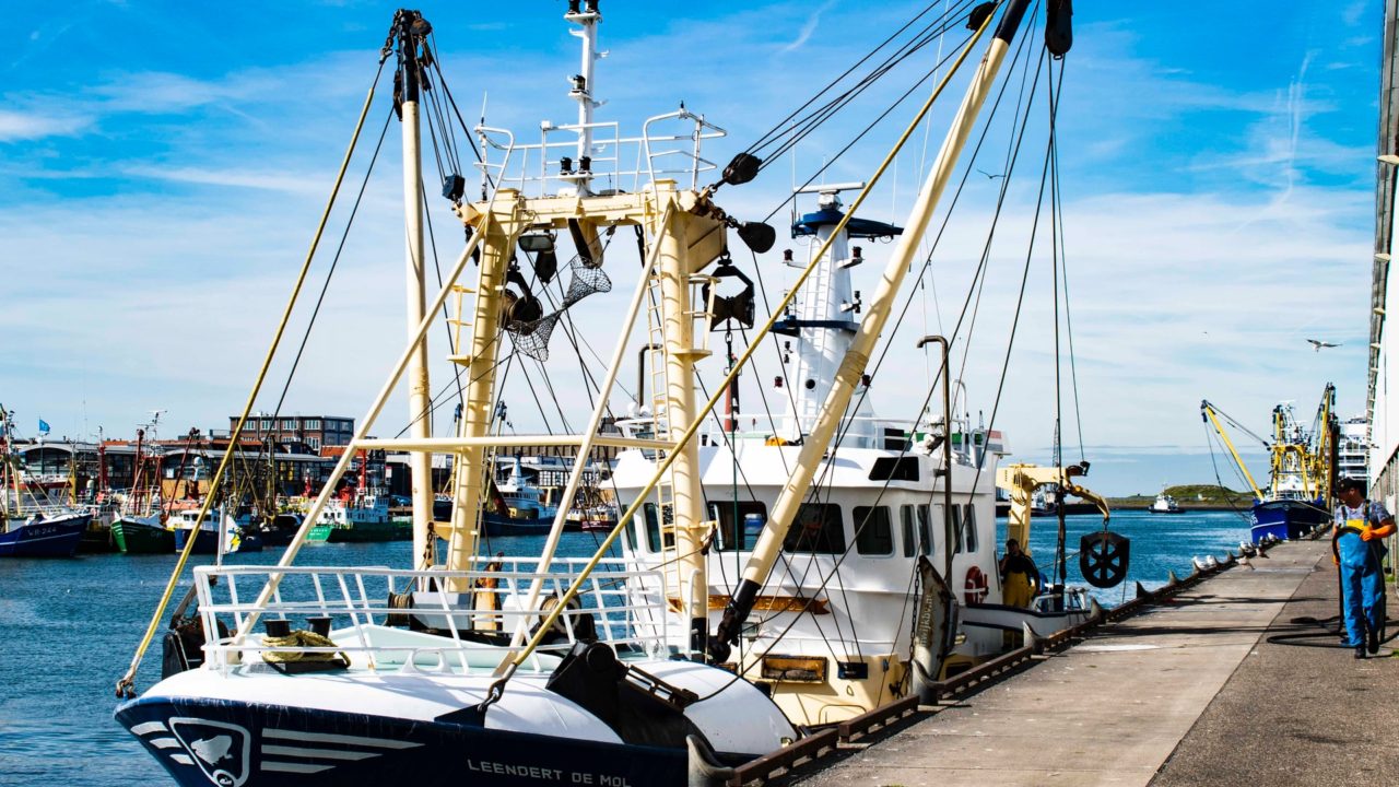 漁業で事業再構築補助金は利用できるか解説していきます。
