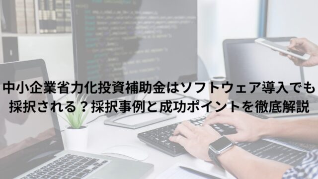 中小企業省力化投資補助金はソフトウェア導入でも採択される？採択事例と成功ポイントを徹底解説